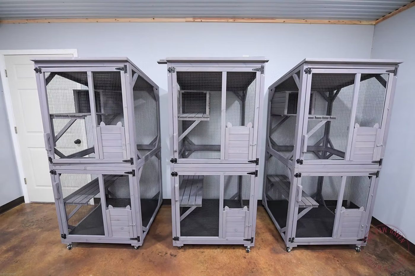 Multi-level cat condos for feline boarding guests