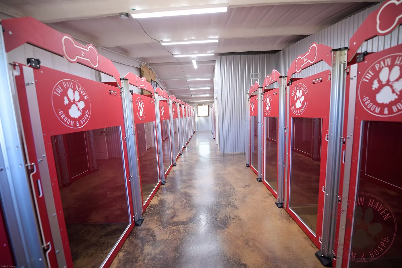 Row of glass-front boarding suites down the kennel hall