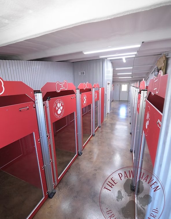 Row of red glass-front Gator kennels inside The Paw Haven boarding room