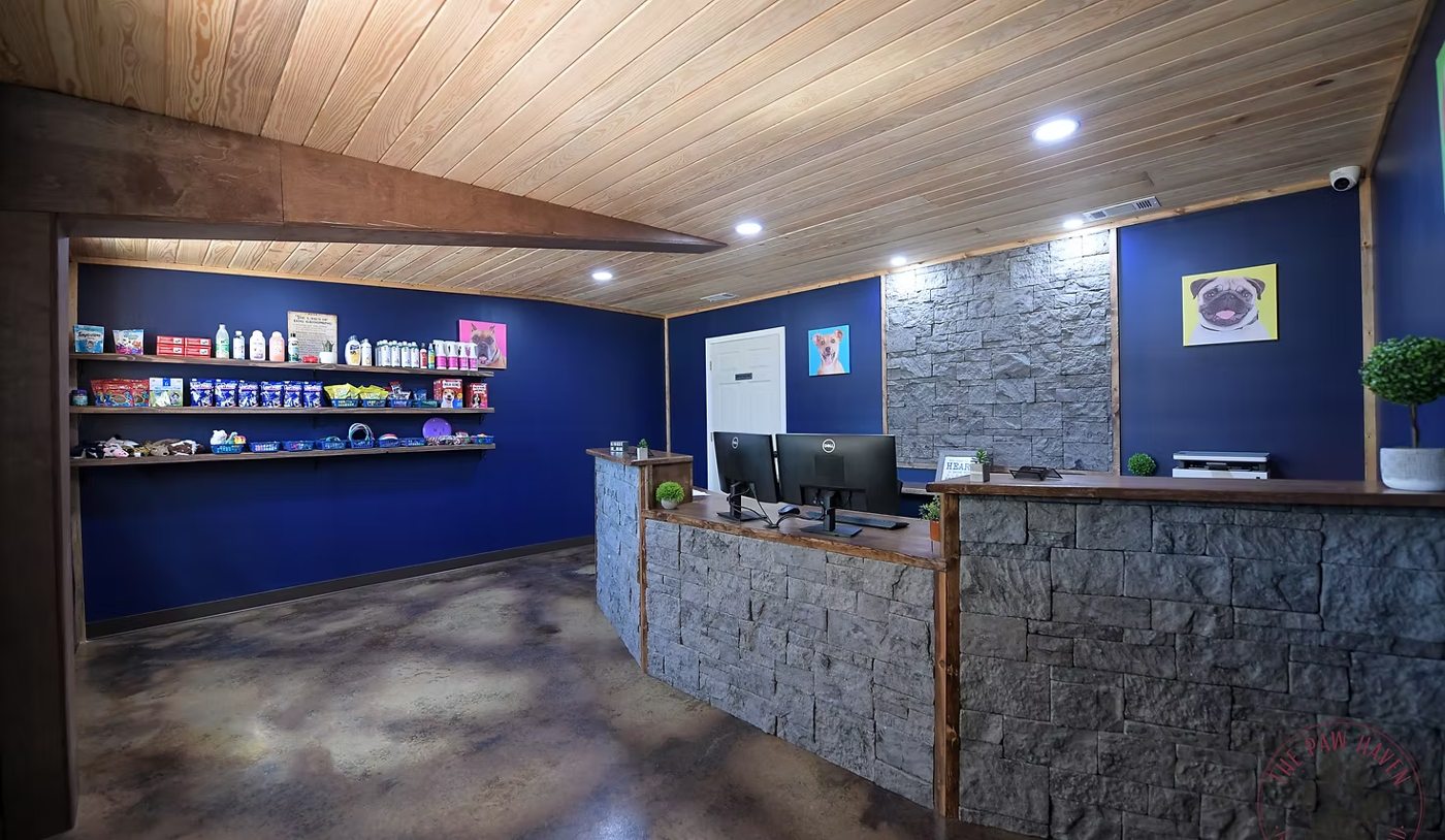 The Paw Haven lobby and reception with stone-front desks and retail shelves