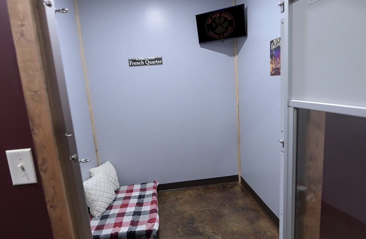The Louisiana Luxury Suite — private French Quarter themed room with a plaid bed, pillows, and a TV