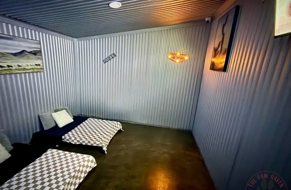 The Nevada Master Suite — spacious Las Vegas themed room with two raised beds, pillows, and desert artwork